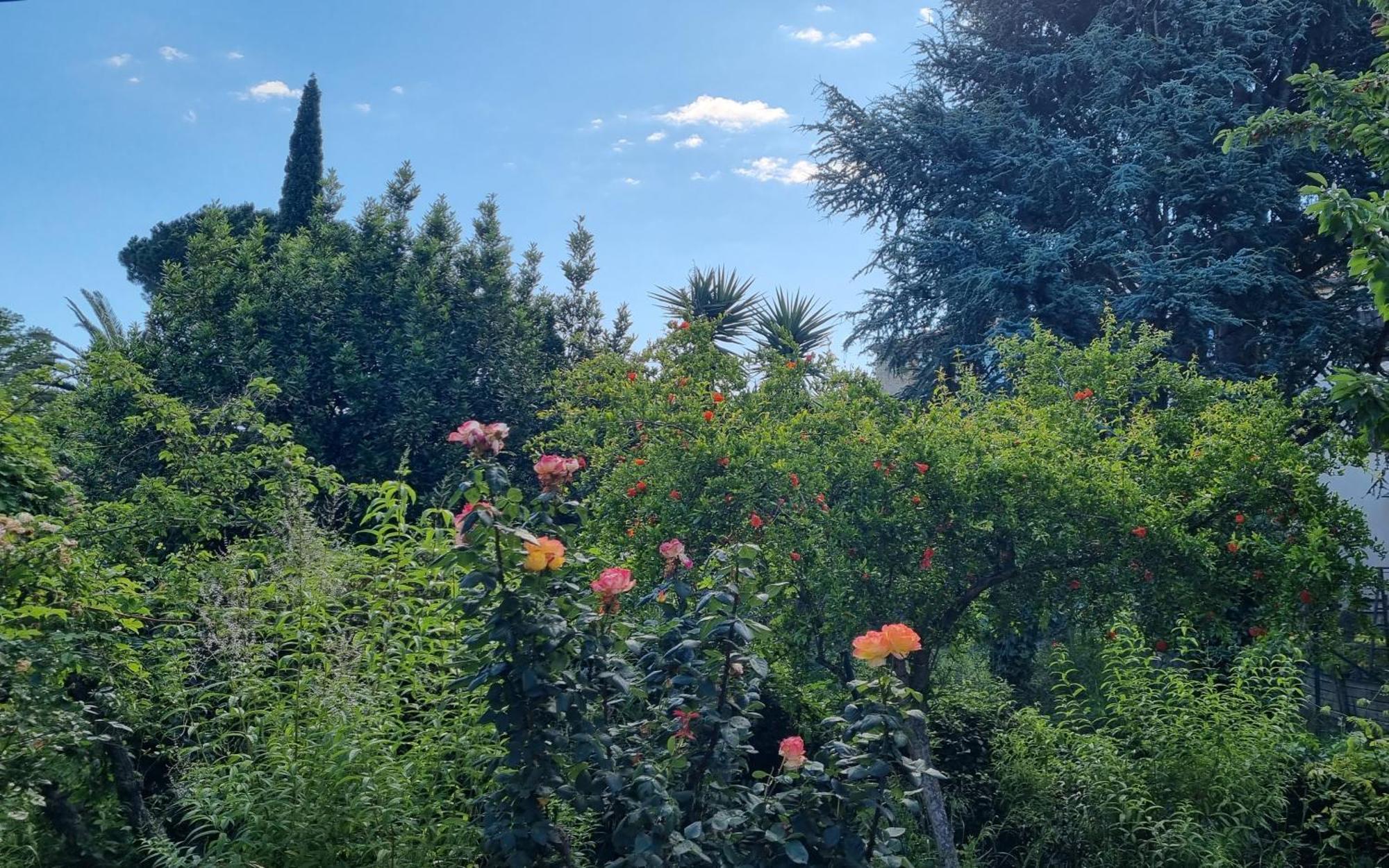 Villa El Correc Laroque-des-Albères Dış mekan fotoğraf